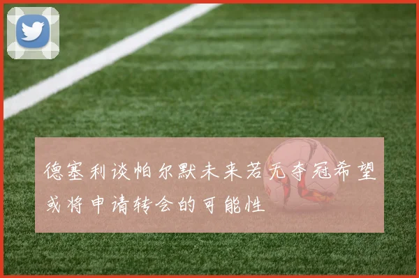 德塞利谈帕尔默未来若无夺冠希望或将申请转会的可能性
