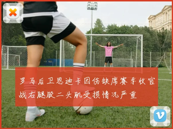罗马后卫恩迪卡因伤缺席赛季收官战右腿股二头肌受损情况严重